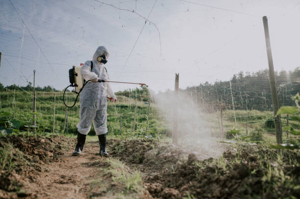 Best Best Pest Control Companies  in Maud, TX