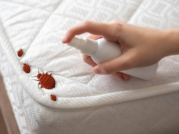 Best Pest Inspection Near Me  in Maud, TX